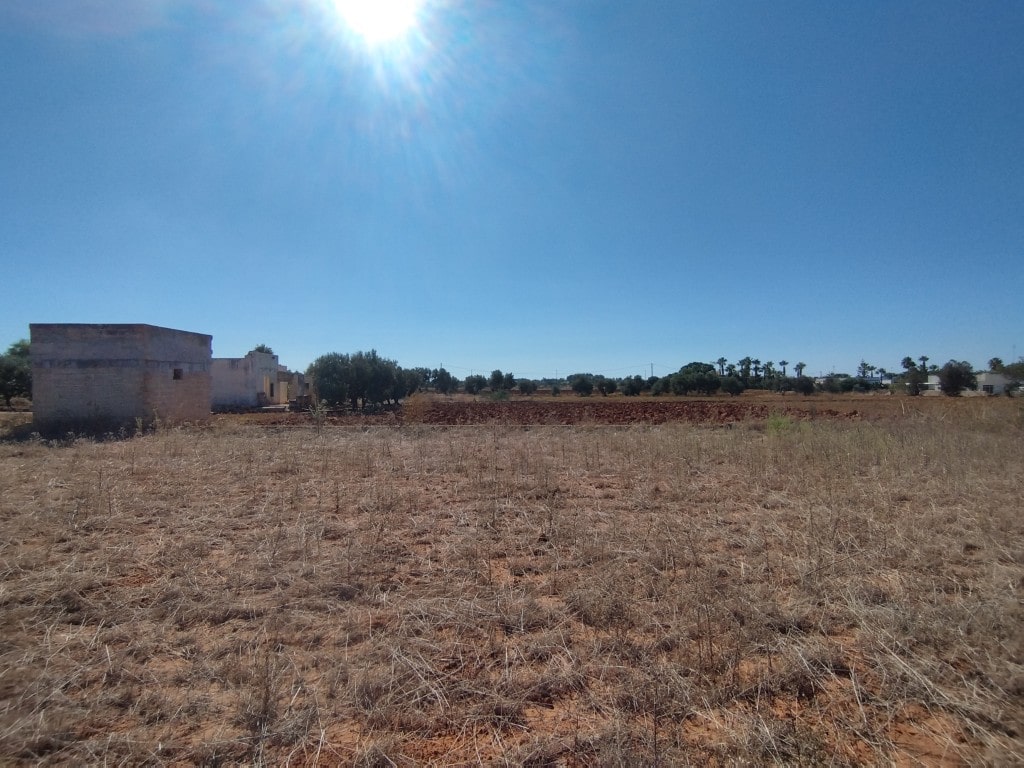 Giano Group Immobiliare